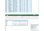 clean, format, entry and analyse excel data